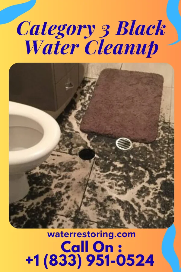 Category 3 Black Water Cleanup in Omro, WI