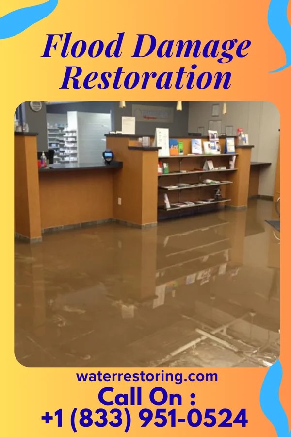 Flood Damage Restoration in Omro, WI