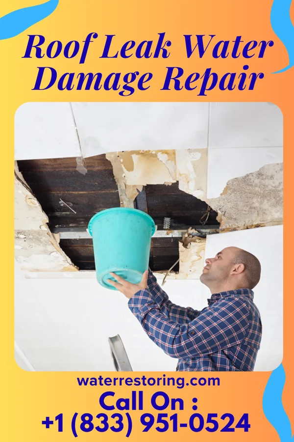 Roof Leak Water Damage Repair in Omro, WI