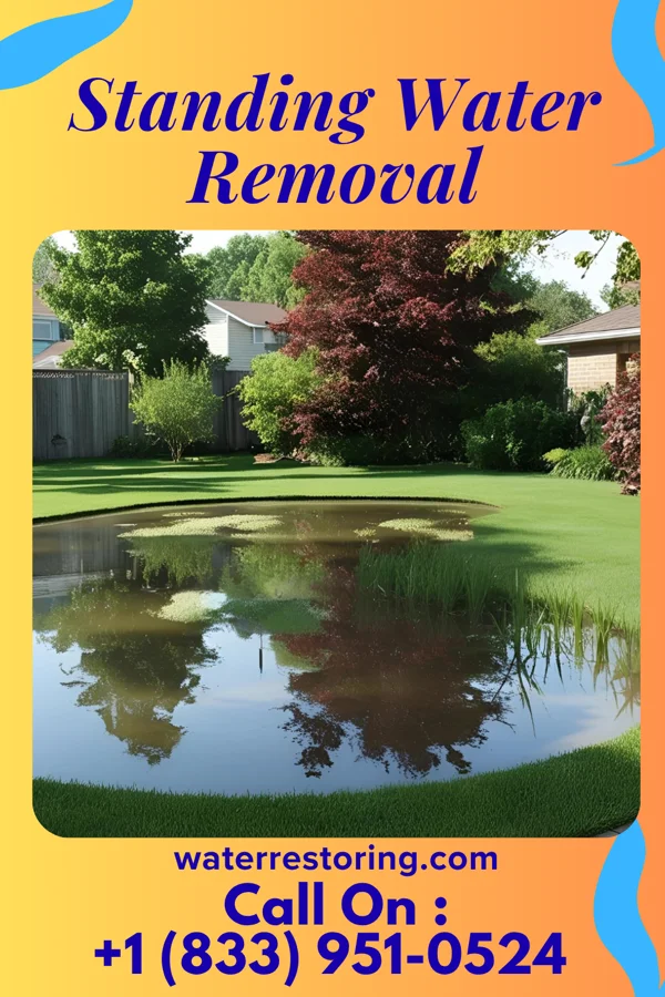 Standing Water Removal in Omro, WI